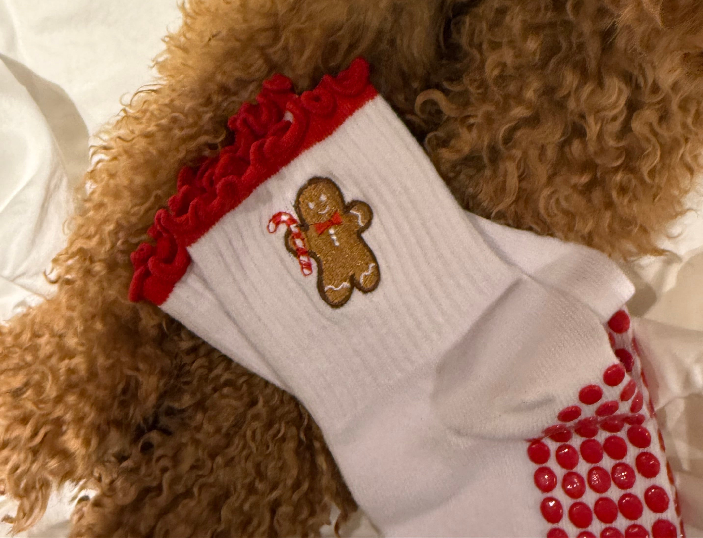 GRIP SOCK - LIMITED EDITION CHRISTMAS