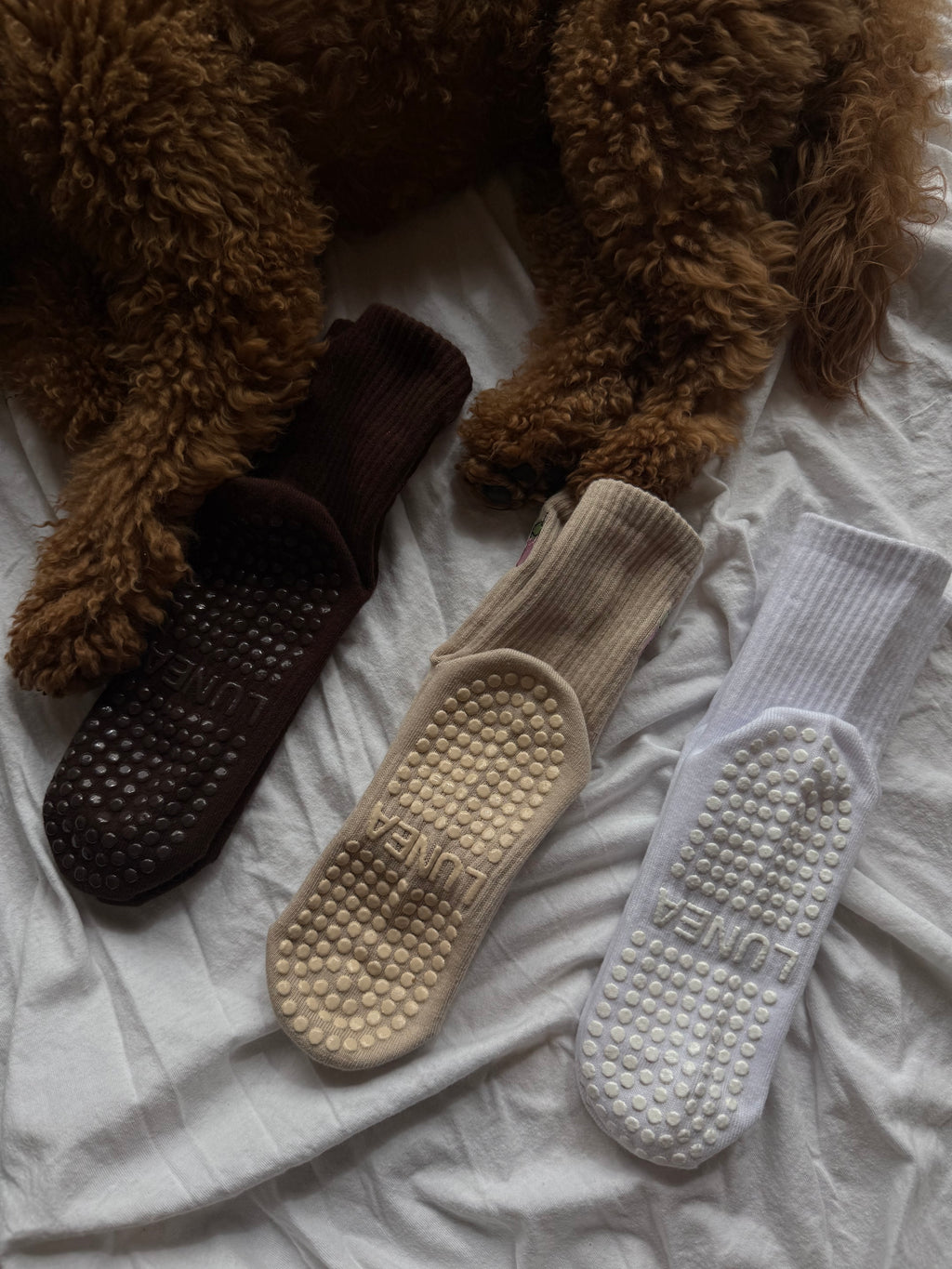 GRIP SOCK - PUMPKIN SPICE